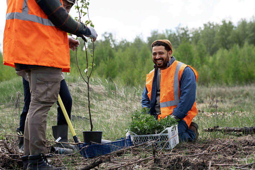 Planting Trees