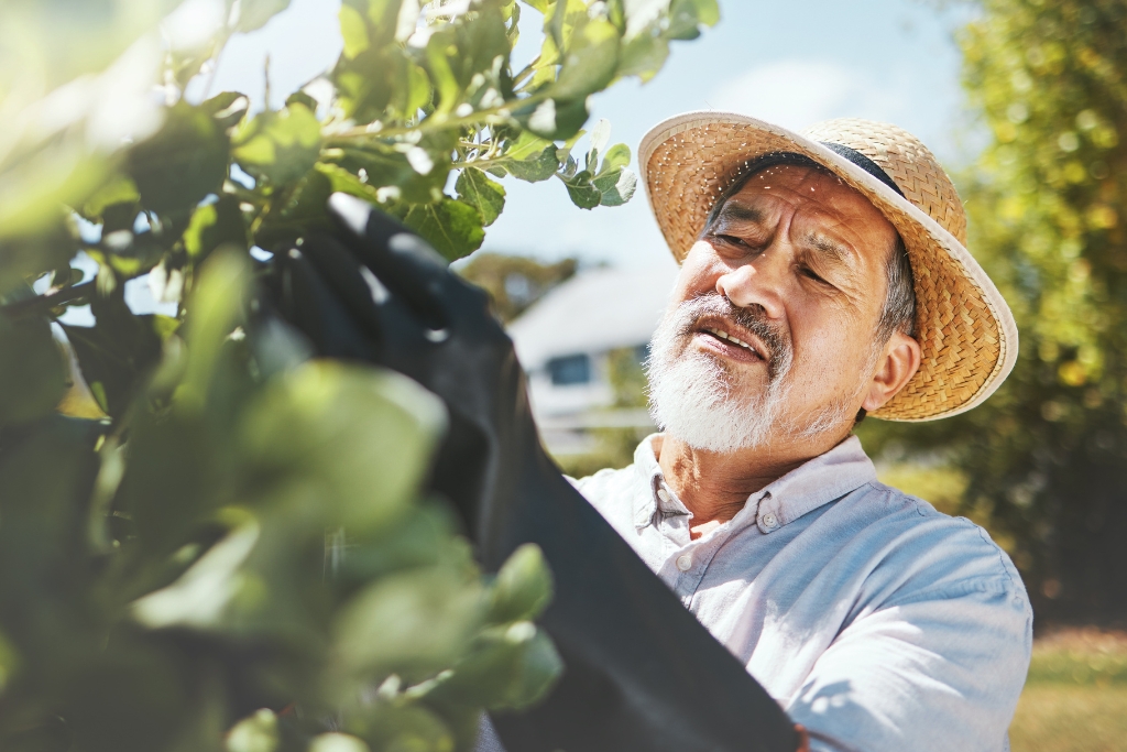 Tree Health Inspection Services: Why Regular Checkups Matter for Your Trees