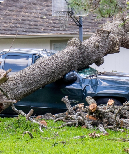 Storm Prep and Damage Emergency