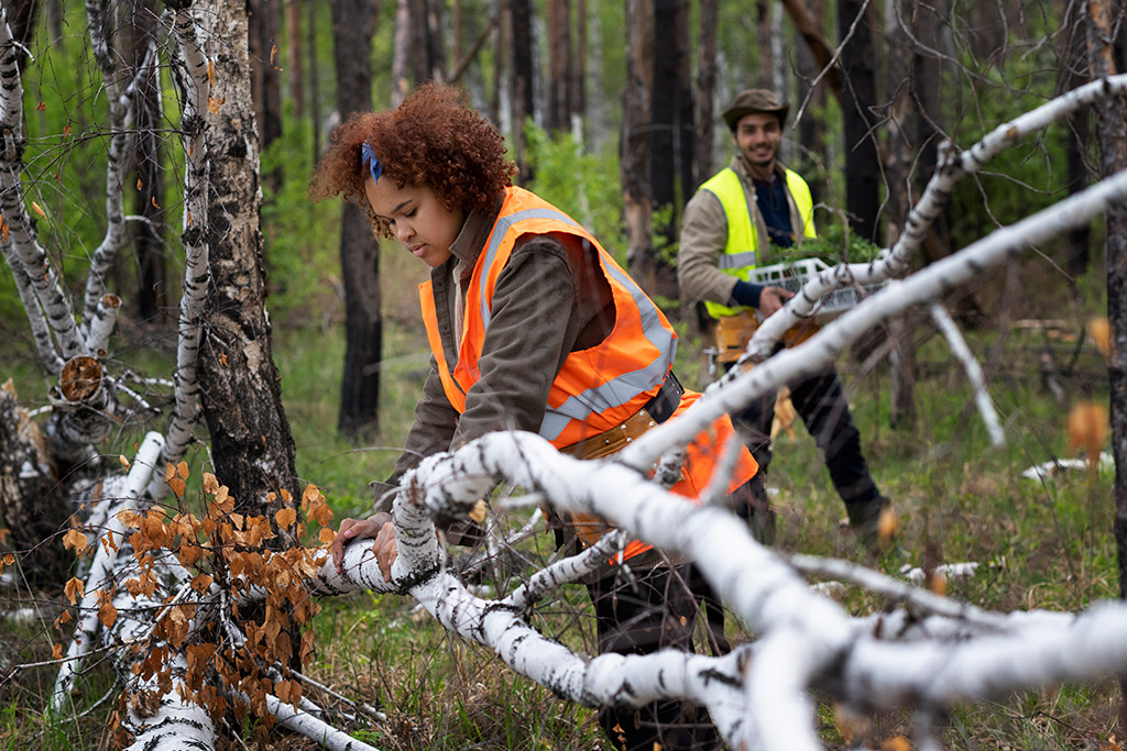 Tree Storm Prep Services: Protect Your Trees Before the Next Big Storm